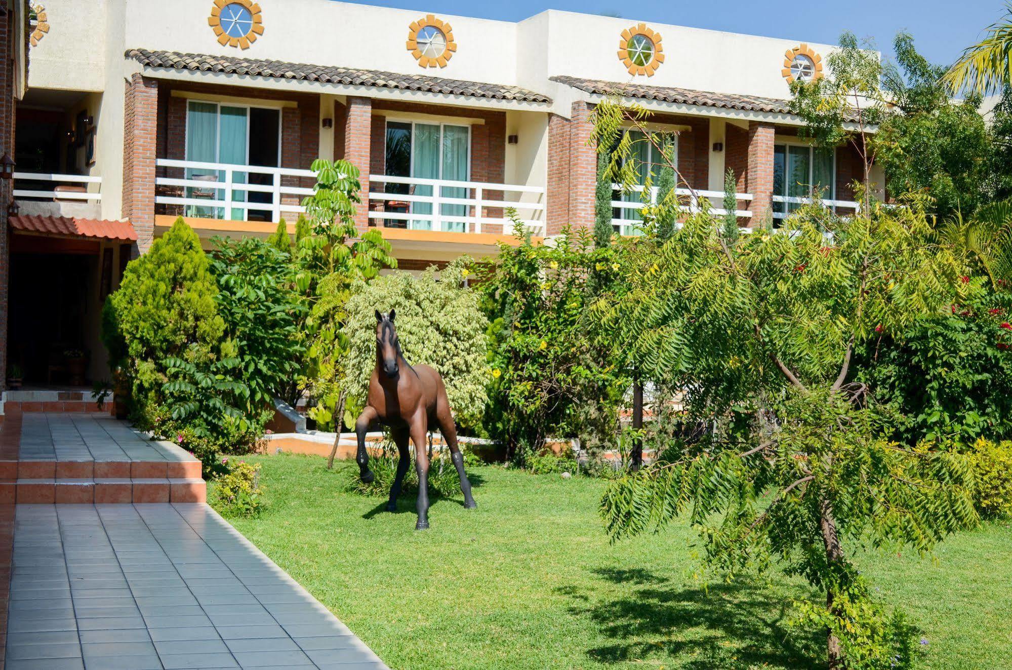 Quinta La Estampida Hotel Xochitepec Exterior photo